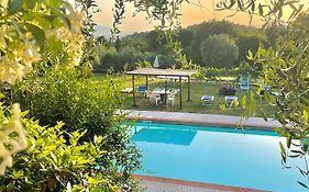 B&B Alloro